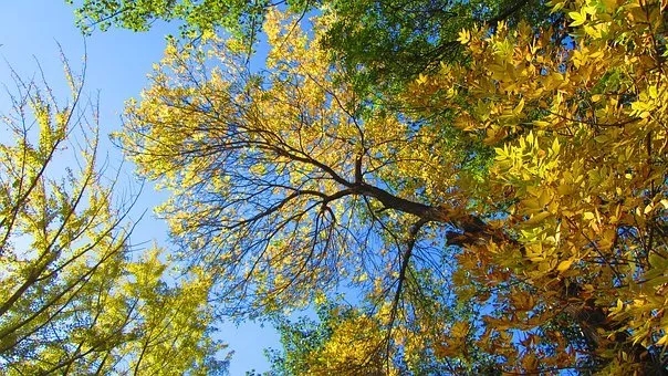 640.webp