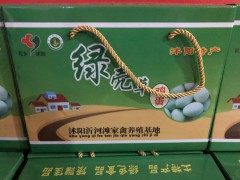 綠殼草雞蛋