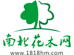 南北花木網(wǎng)Logo