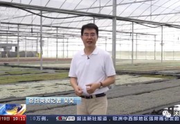 【多肉產(chǎn)業(yè)】央視《新聞直播間》點贊沭陽多肉產(chǎn)業(yè)