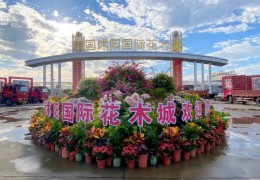 2024沭陽國際花木城盆景資材展銷會成功舉辦！