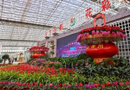 沭陽縣在山東省青州市舉辦花木產(chǎn)業(yè)招商推介系列活動
